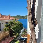 Ariti